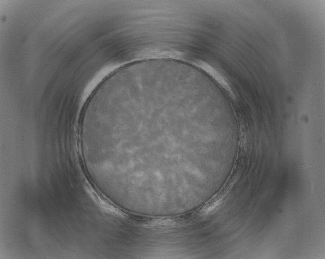 X0000071781094200607211551