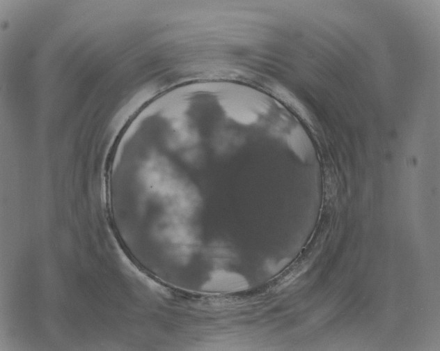 X0000071781095200607211551