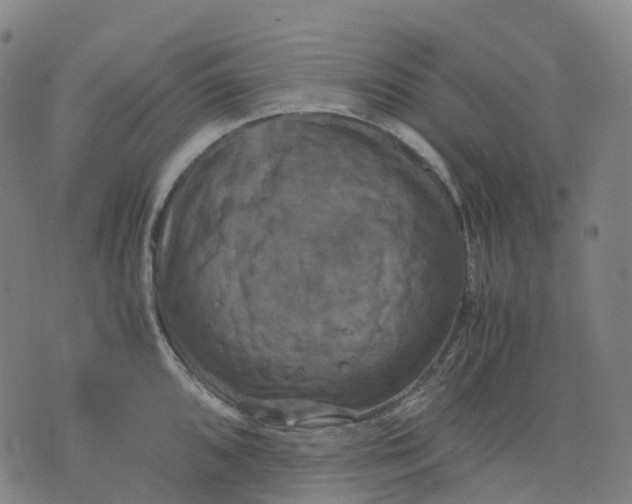 X0000071781096200607211551