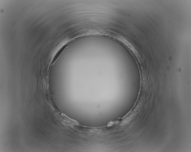 X0000071781097200607211551