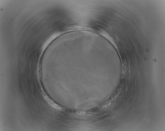 X0000071781098200607211551