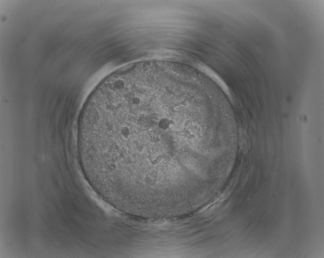 X0000071781099200607211551