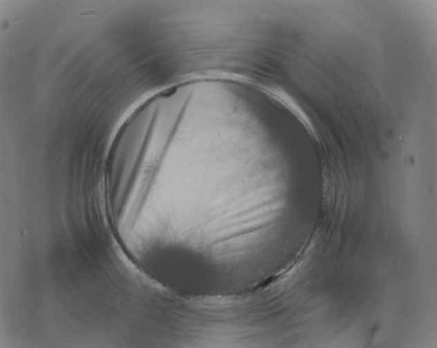 X0000071781100200607211550