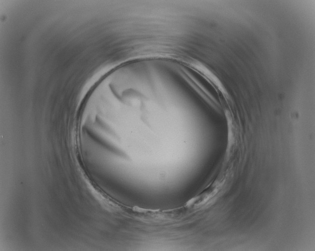 X0000071781101200607211550