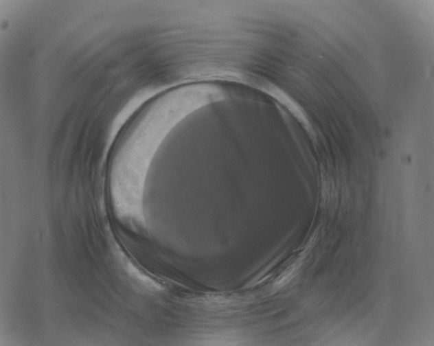 X0000071781102200607211550