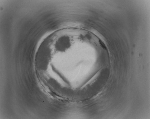 X0000071781104200607211550