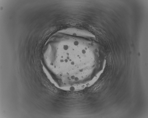 X0000071781105200607211550