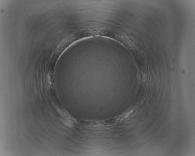 X0000071781106200607211550