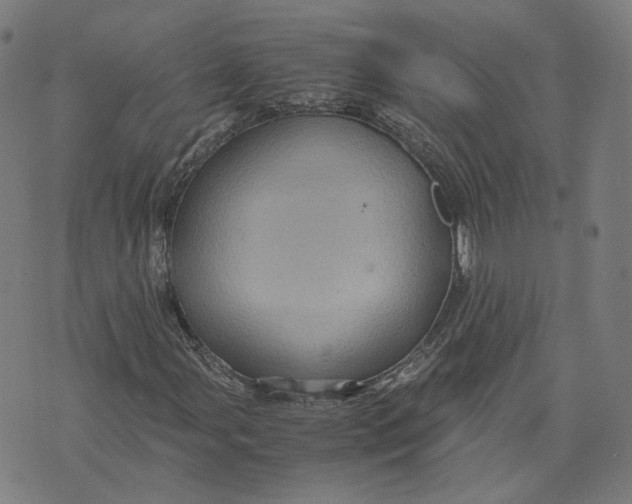 X0000071781107200607211550