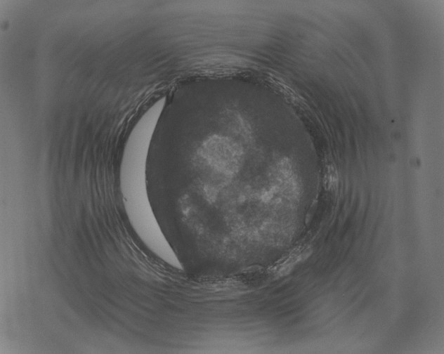 X0000071781108200607211550