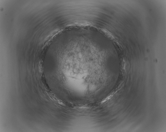 X0000071781110200607211550