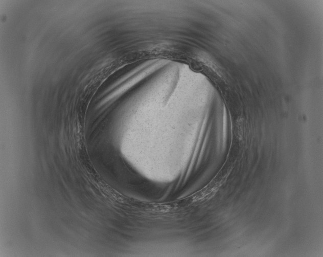 X0000071781111200607211550