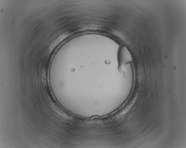 X0000071781113200607211550