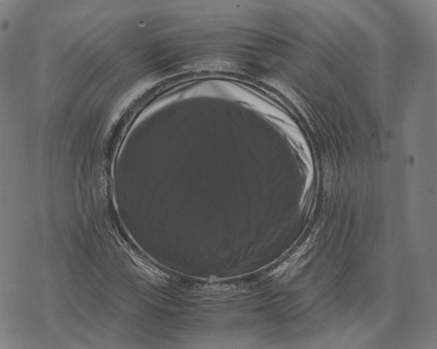 X0000071781115200607211550