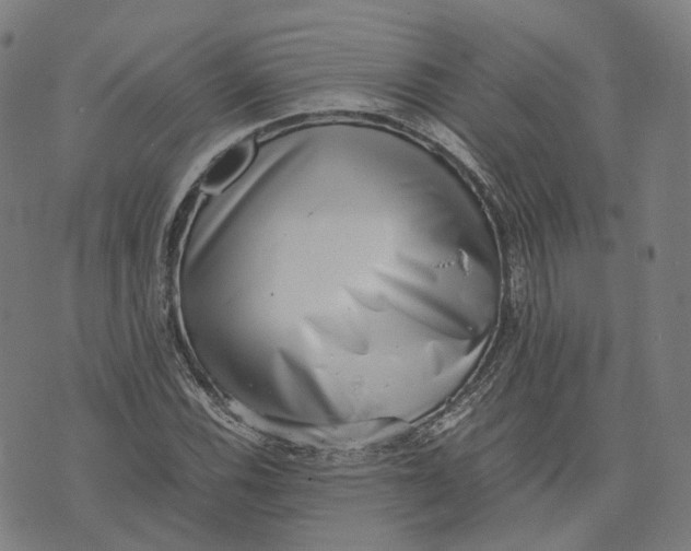 X0000071781116200607211550