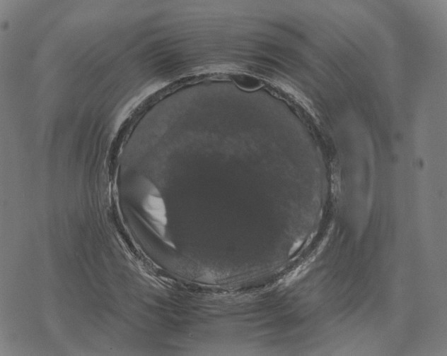 X0000071781117200607211550