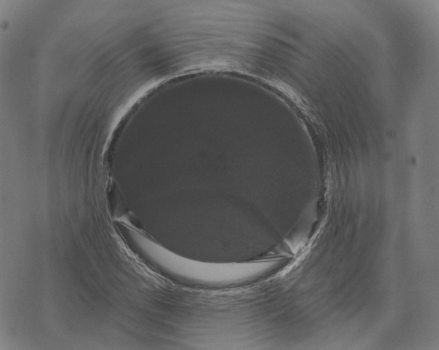 X0000071781118200607211550