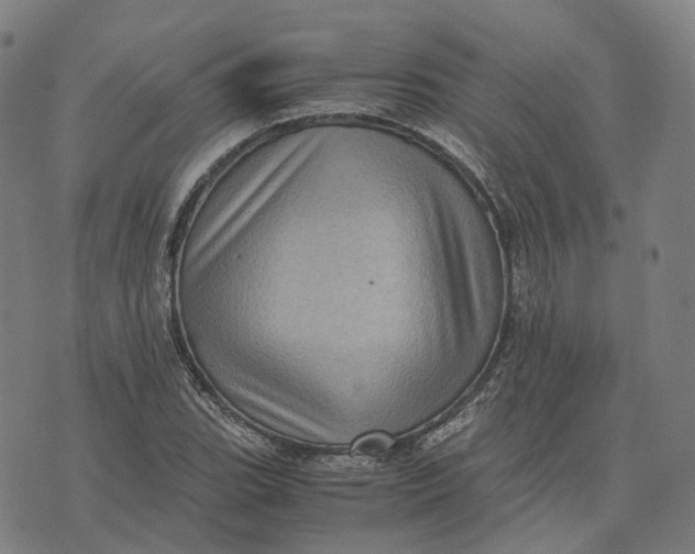 X0000071781119200607211550