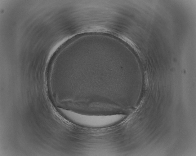 X0000071781120200607211550