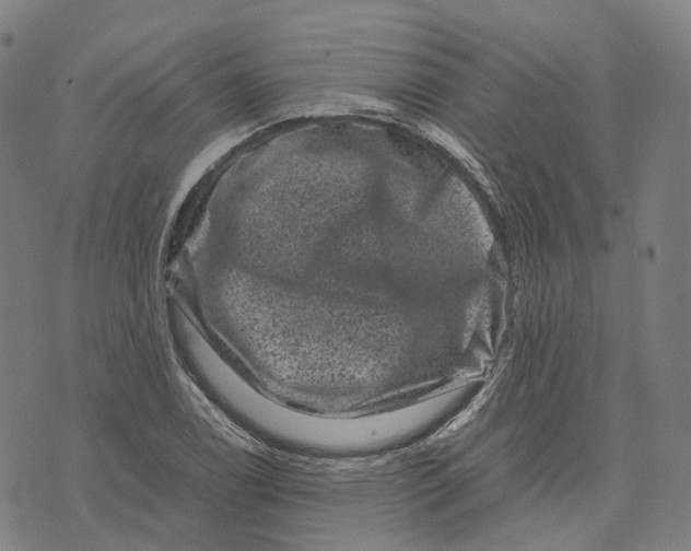 X0000071781122200607211550