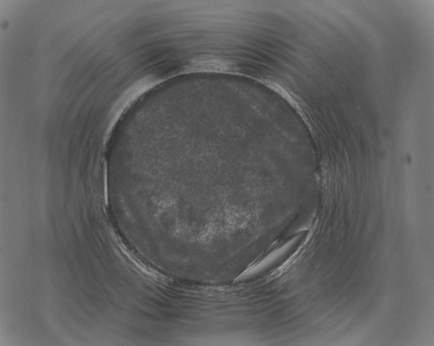 X0000071781123200607211550