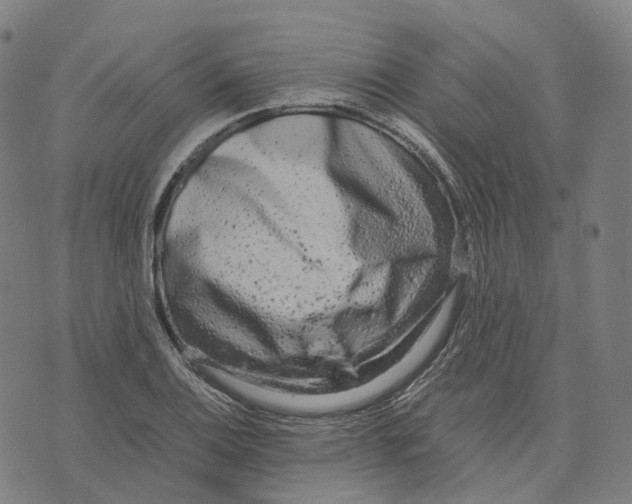 X0000071781124200607211550