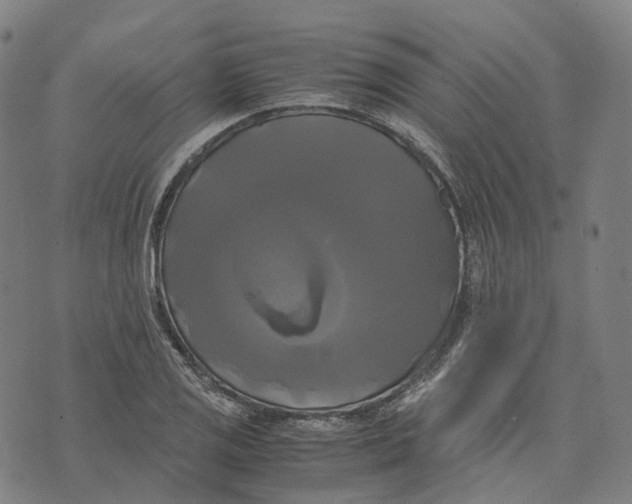 X0000071781125200607211550