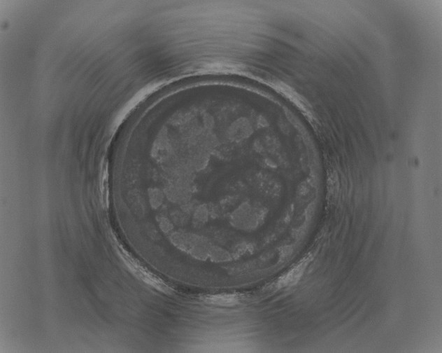 X0000071781126200607211550