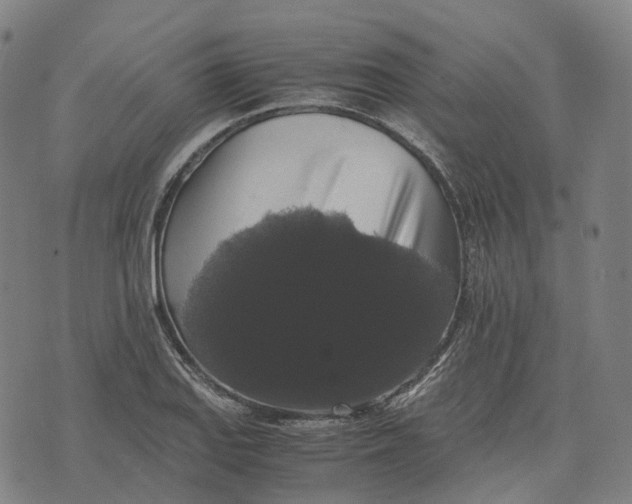 X0000071781127200607211550