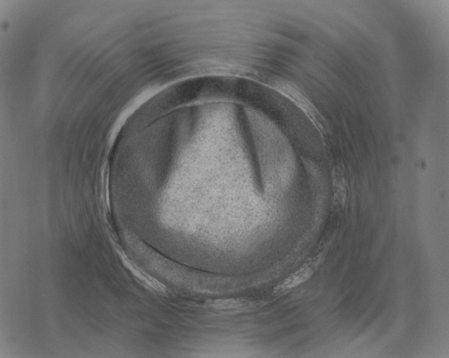 X0000071781128200607211550