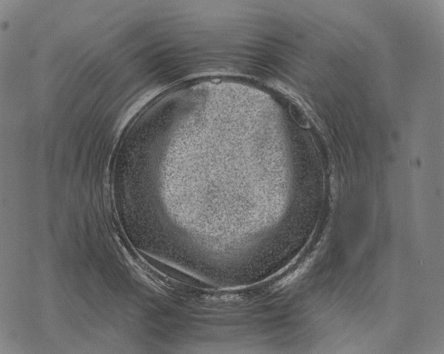 X0000071781129200607211550