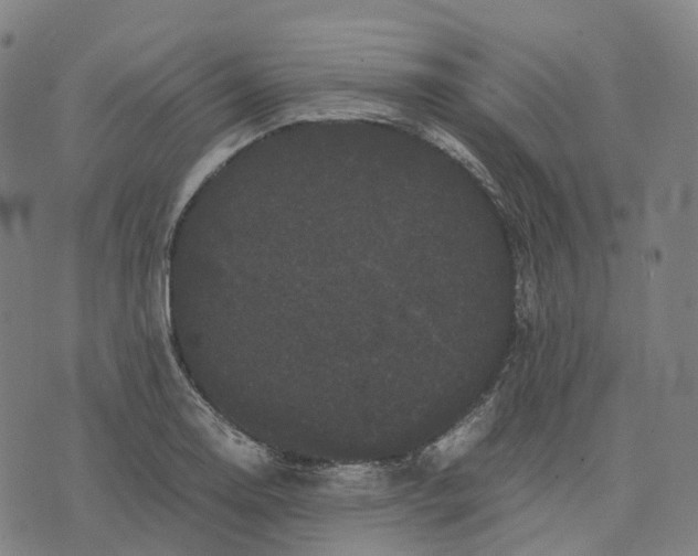 X0000071781130200607211550