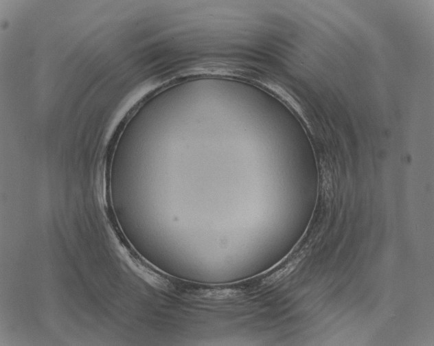 X0000071781131200607211550