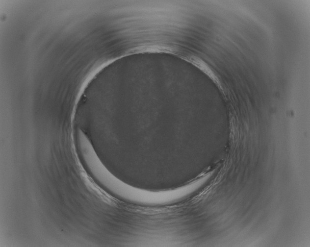 X0000071781132200607211550