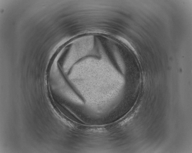 X0000071781133200607211550