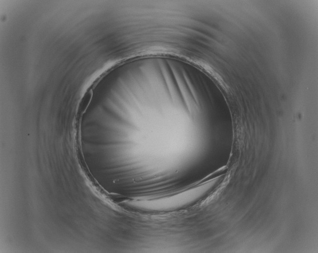 X0000071781134200607211550