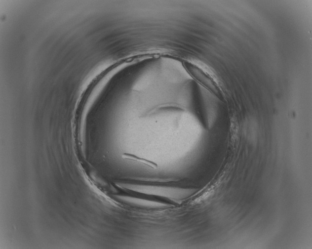 X0000071781135200607211550