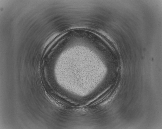 X0000071781137200607211550