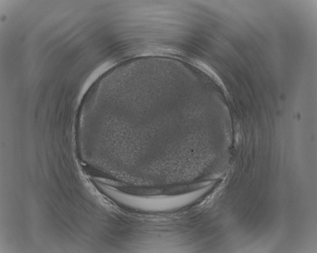 X0000071781138200607211550