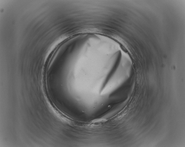 X0000071781139200607211550