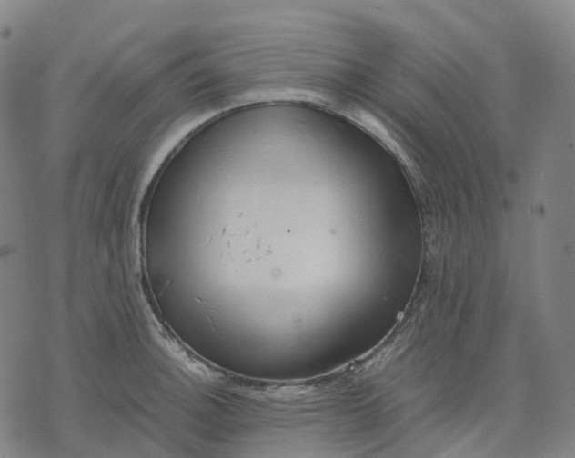 X0000071781140200607211550