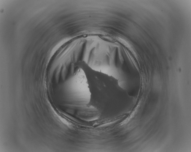 X0000071781141200607211550