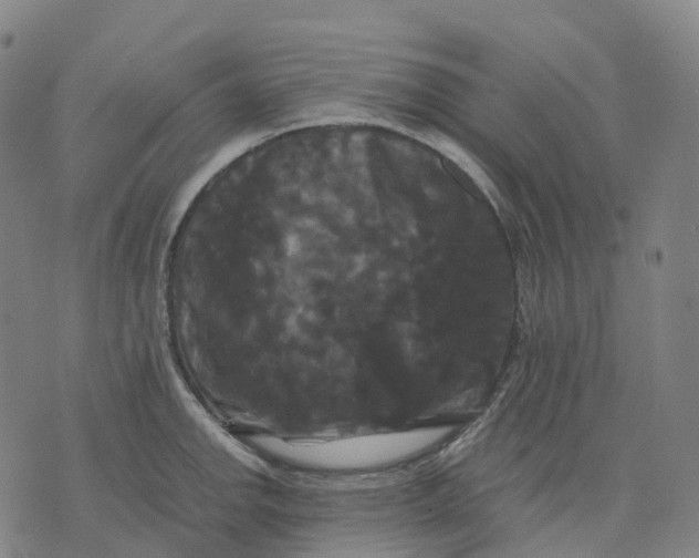 X0000071781142200607211550