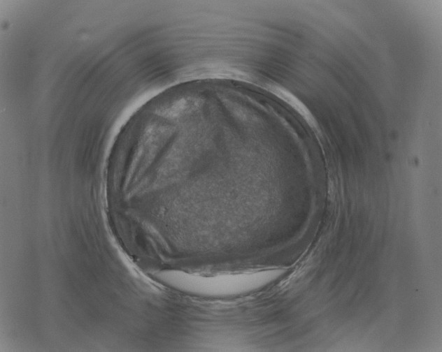 X0000071781144200607211550