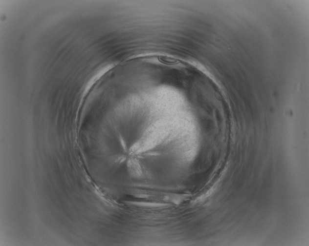 X0000071781145200607211550