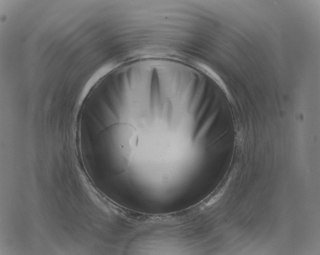 X0000071781146200607211550