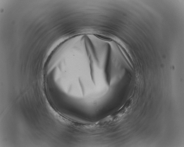 X0000071781147200607211550