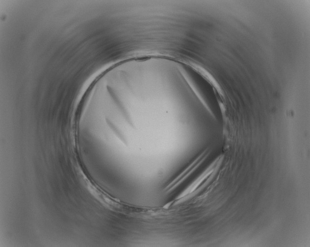 X0000071781148200607211550