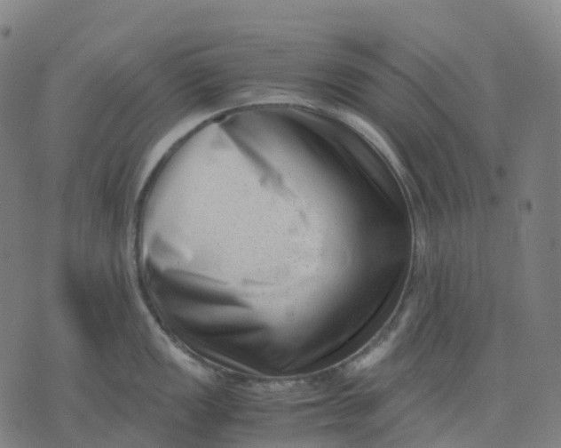 X0000071781149200607211550