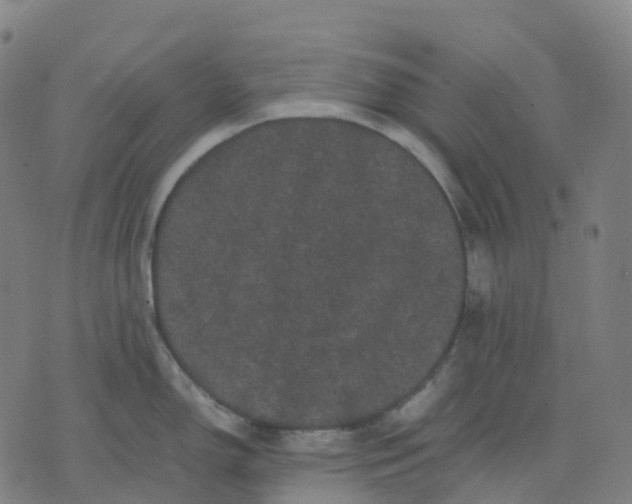 X0000071781150200607211550